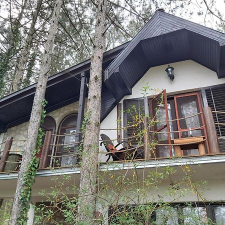 Guesthouse Bajka Vinci Cameră foto