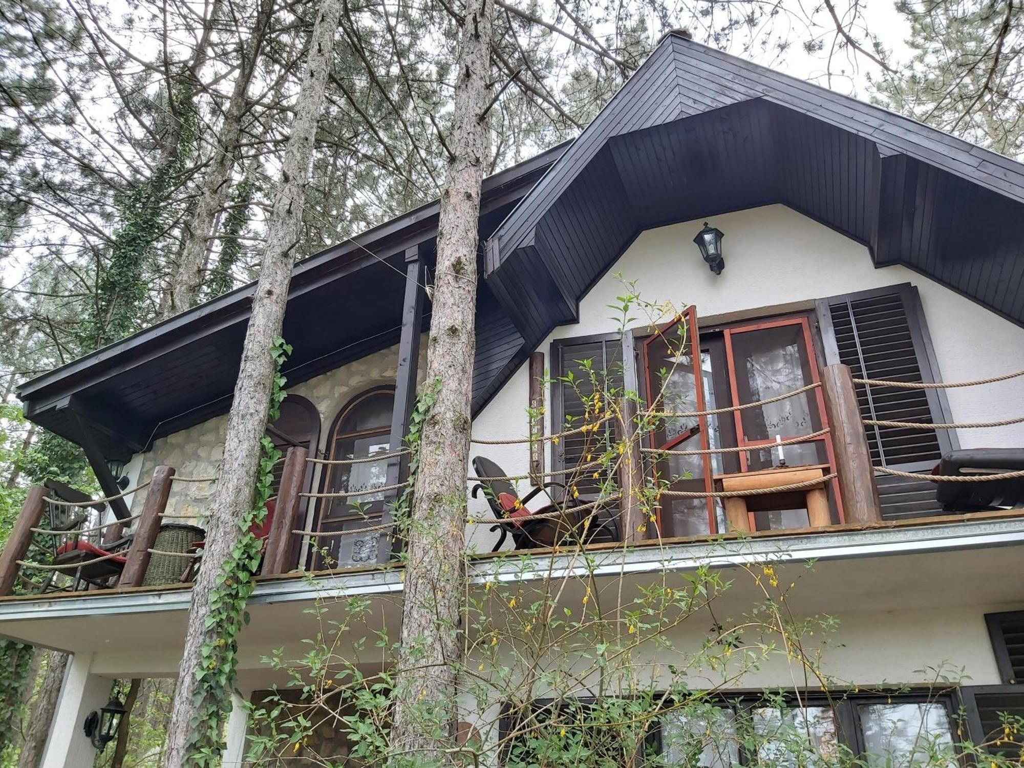 Guesthouse Bajka Vinci Cameră foto