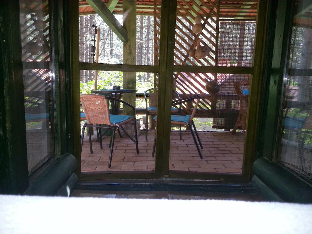 Guesthouse Bajka Vinci Cameră foto